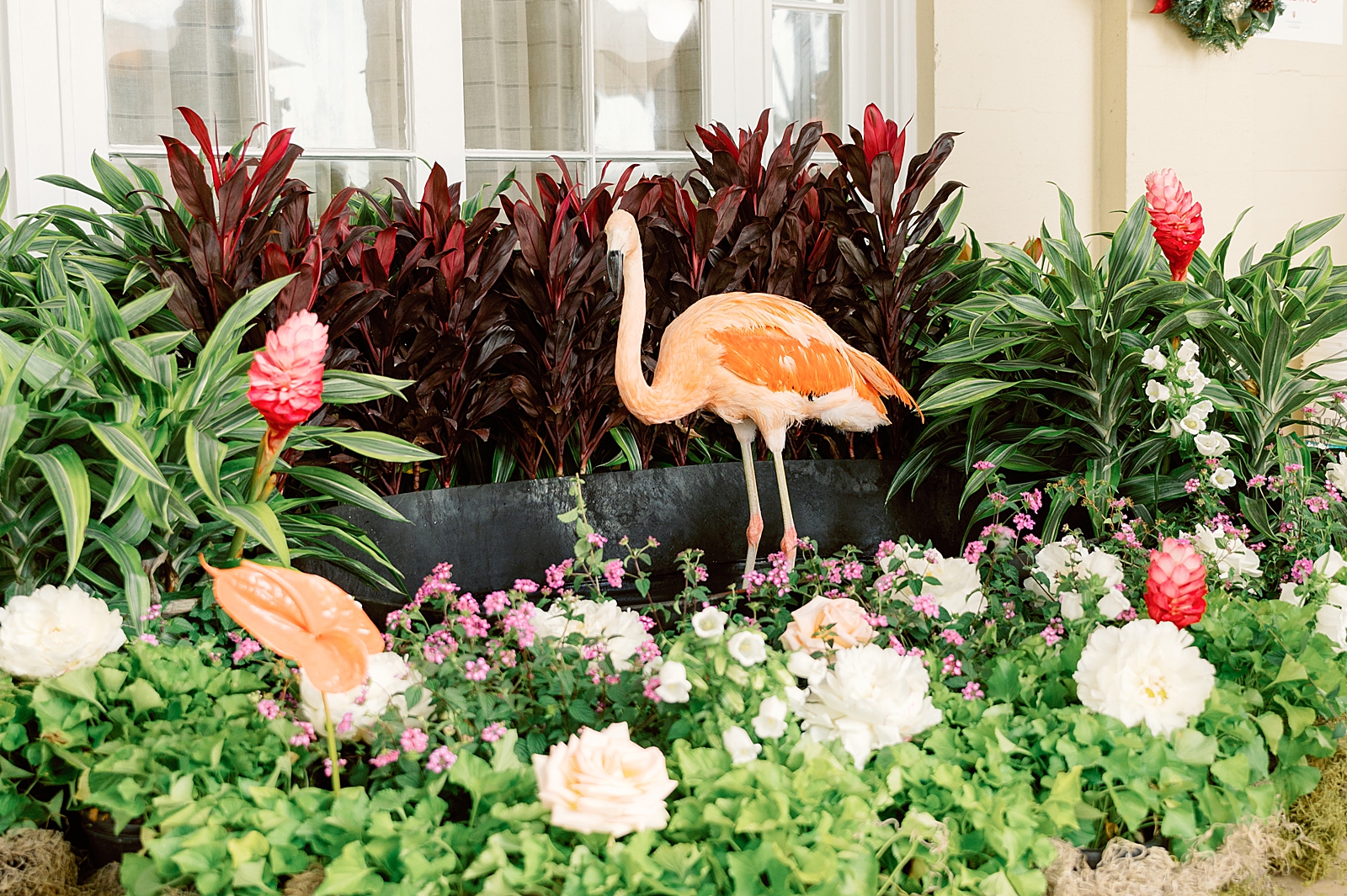 Detail shot of decorative flamingo