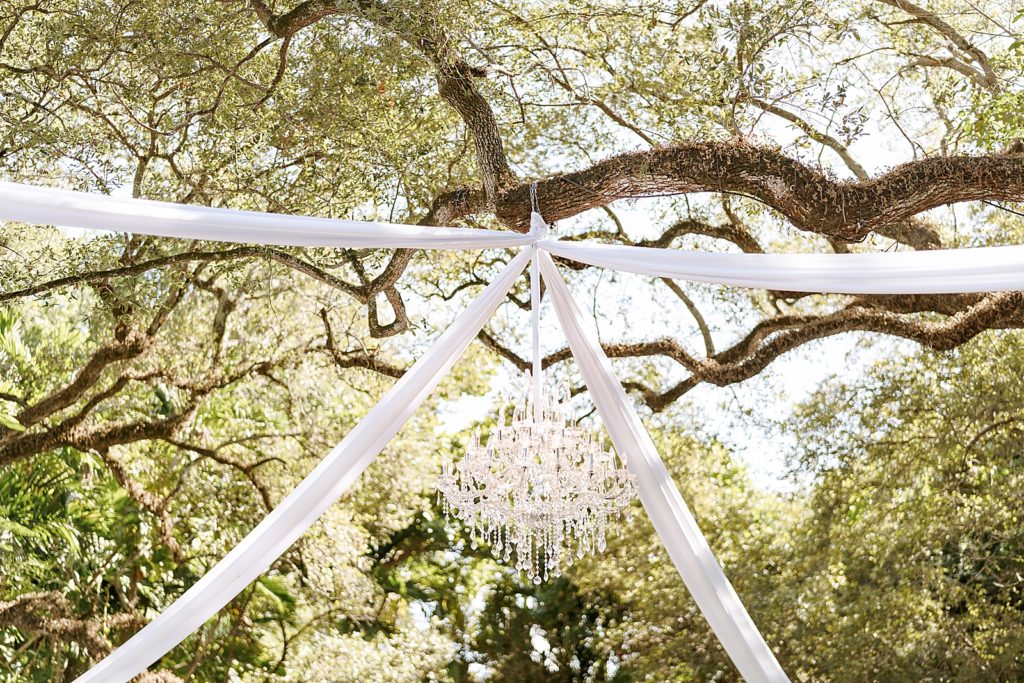 Detail shot of hanging vintage chandelier on tree branch